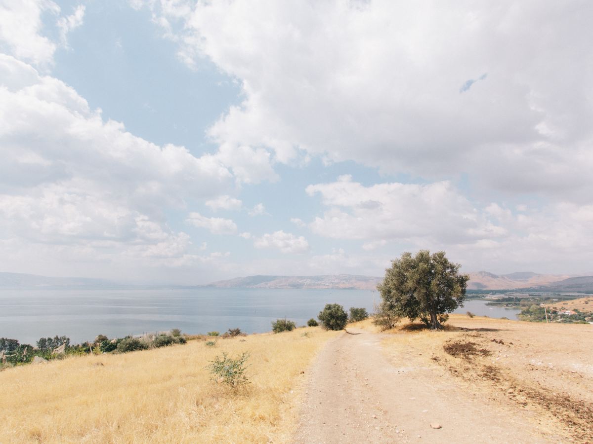 Do We Love&nbsp;Death?